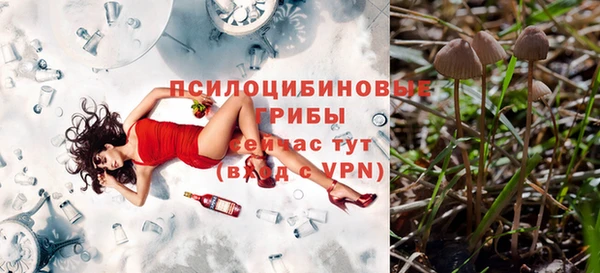 твердый Аркадак